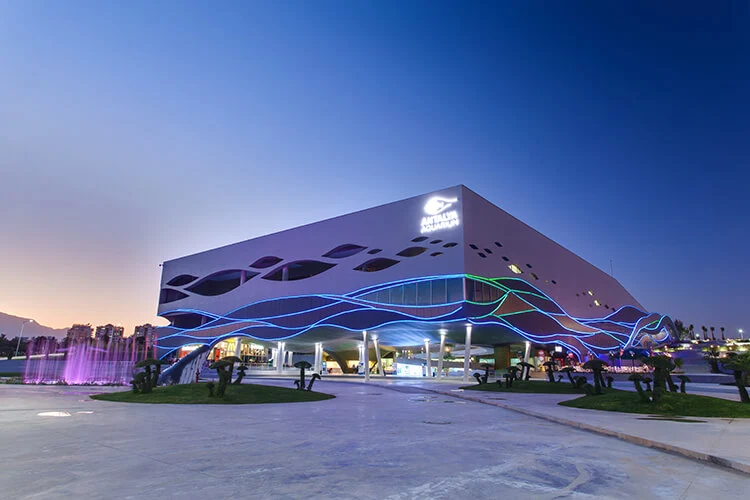 Tunnel aquarium experience inside Antalya Aquarium