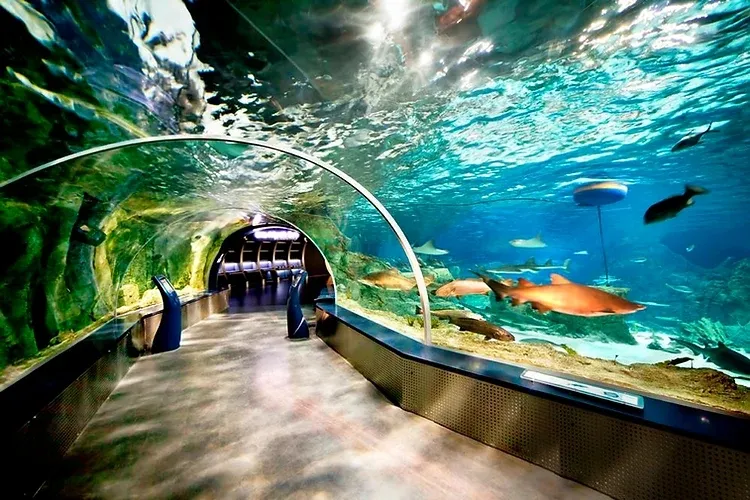 Antalya Aquarium tour with private transfer and hotel pickup