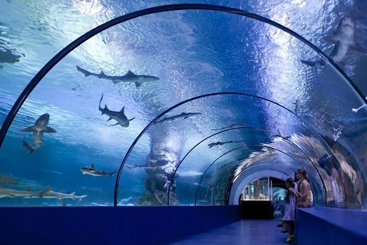 Family visiting Antalya Aquarium with children